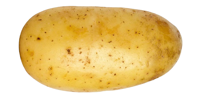 Potato